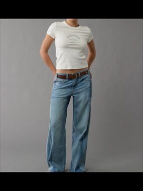 American Eagle Low Rise Baggy Wide-Leg Jeans